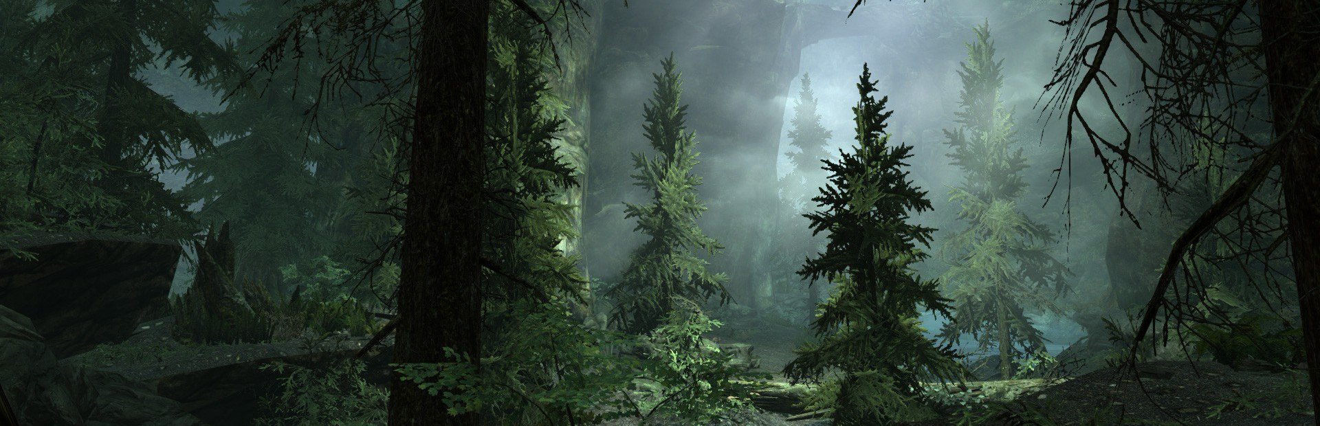 The Forest
